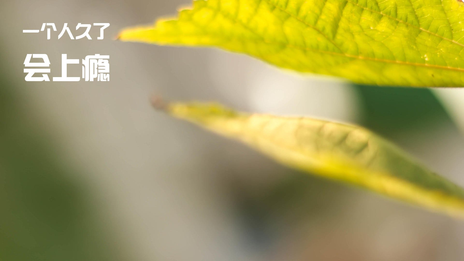 冲刺速度提升，成绩刷新个人纪录，冲刺阶段如何提分