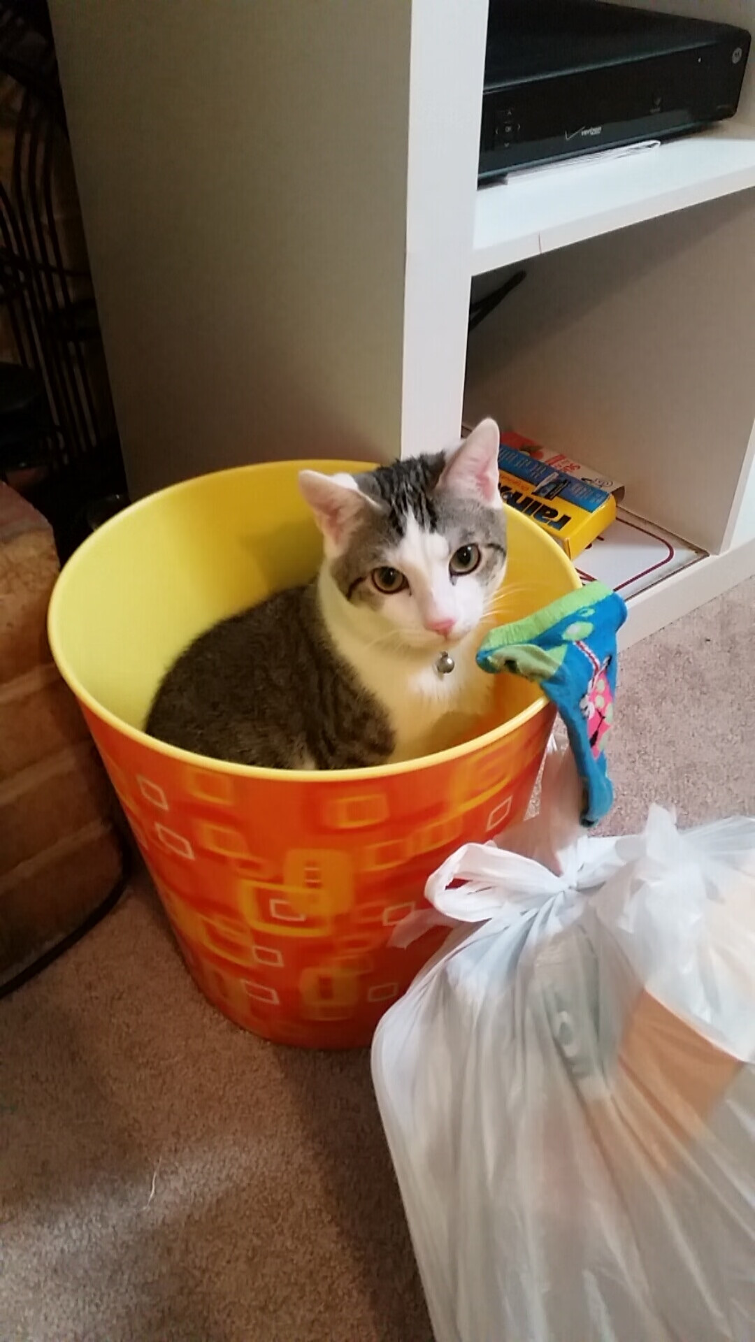 “曼城阵容豪华，誓言捍卫欧冠荣耀”